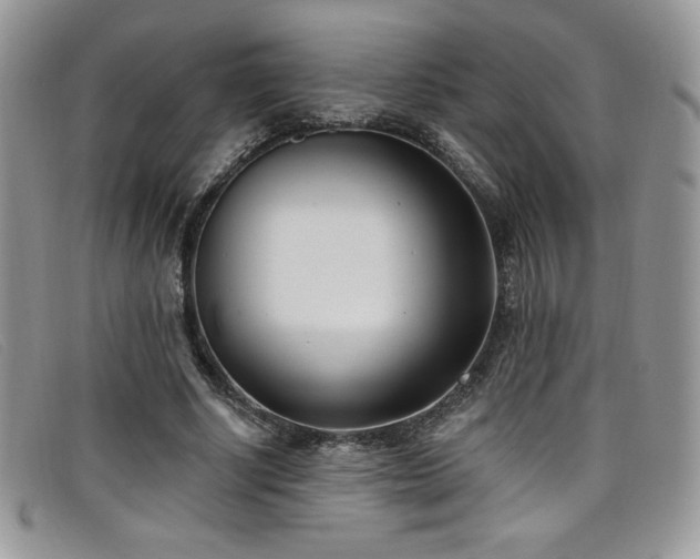 X0000099320634200805021314