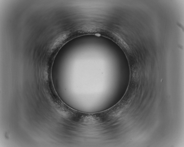 X0000099320635200805021314
