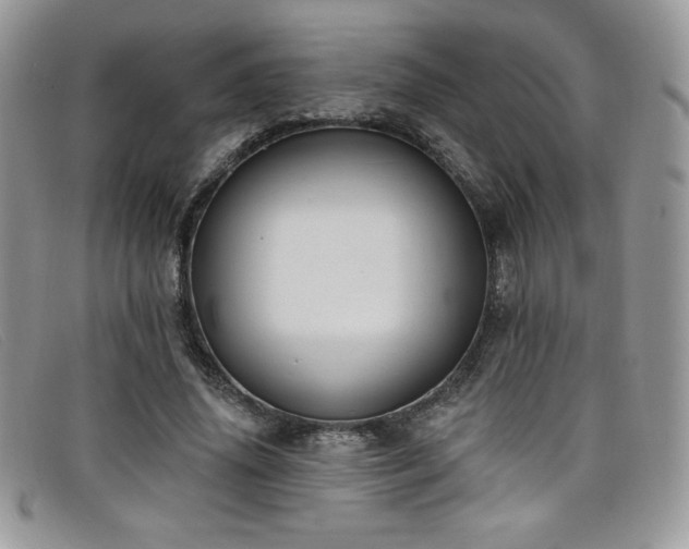 X0000099320636200805021314