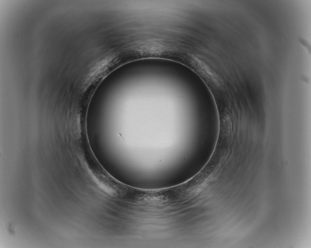 X0000099320638200805021314