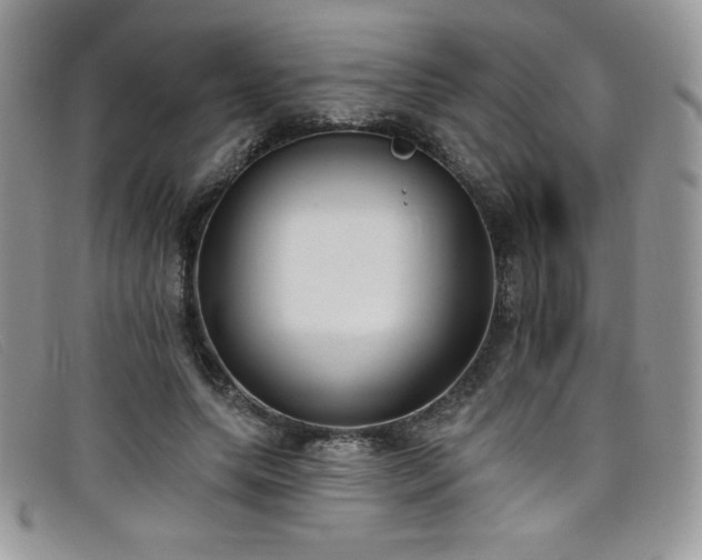 X0000099320639200805021314