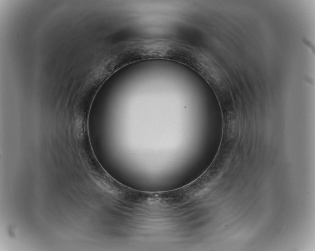 X0000099320641200805021314