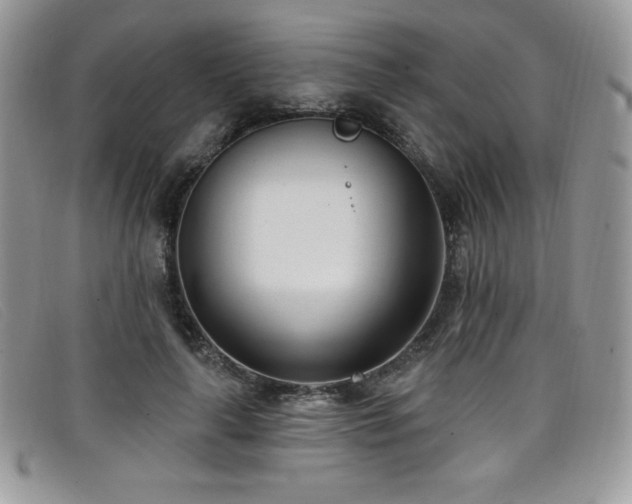 X0000099320643200805021314