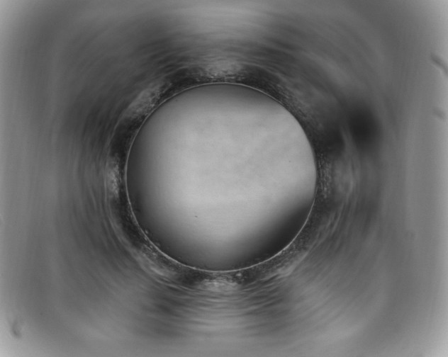 X0000099320644200805021314