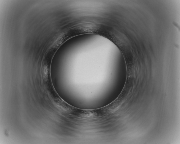 X0000099320646200805021314