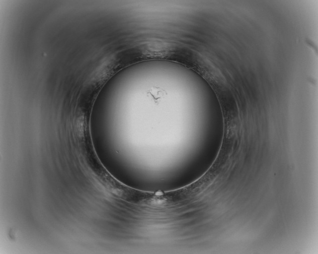 X0000099320647200805021314