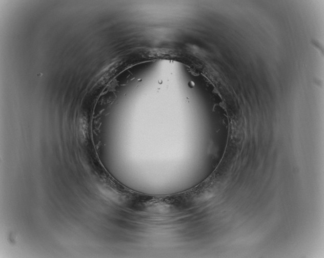 X0000099320648200805021314