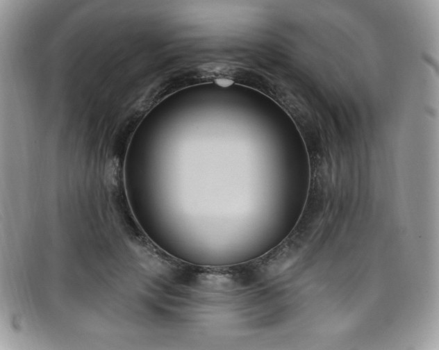 X0000099320649200805021314