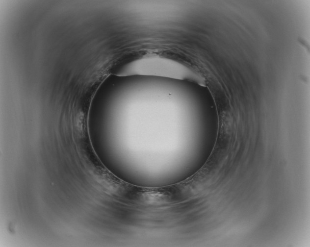 X0000099320650200805021314