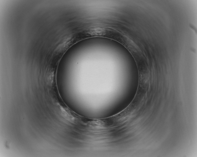 X0000099320652200805021314
