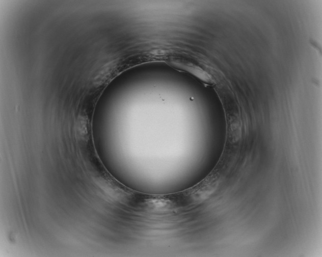 X0000099320654200805021314