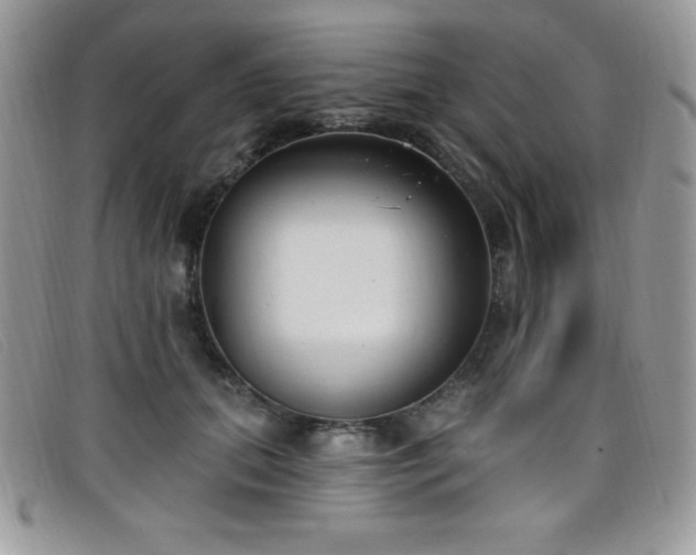 X0000099320655200805021314