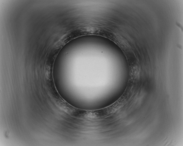 X0000099320656200805021314