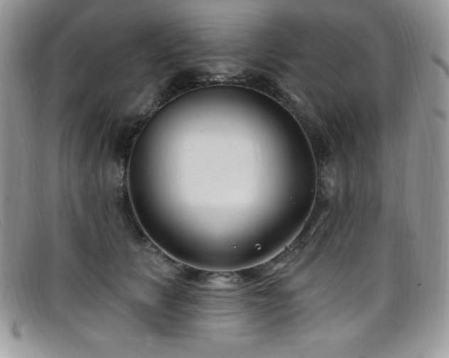X0000099320657200805021314