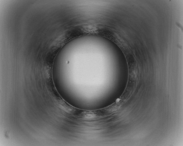 X0000099320658200805021314