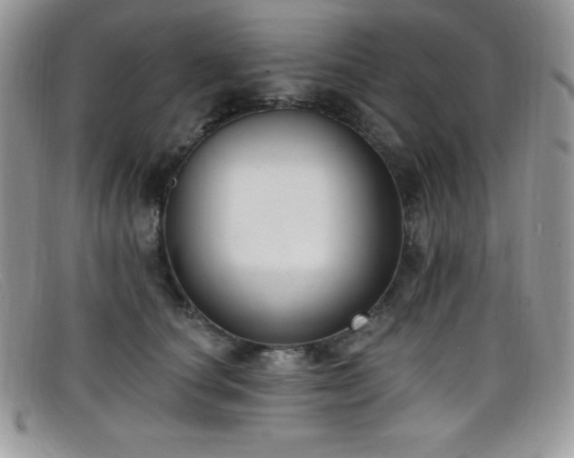 X0000099320660200805021314