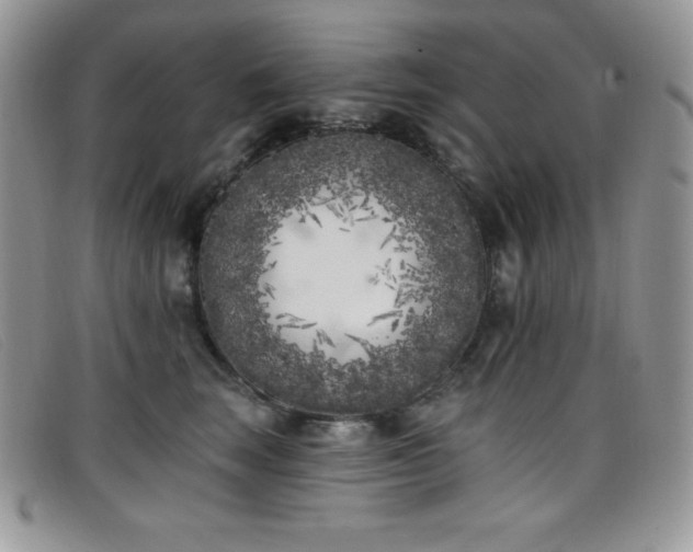 X0000099320663200805021314