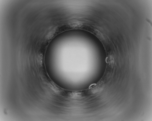 X0000099320664200805021314