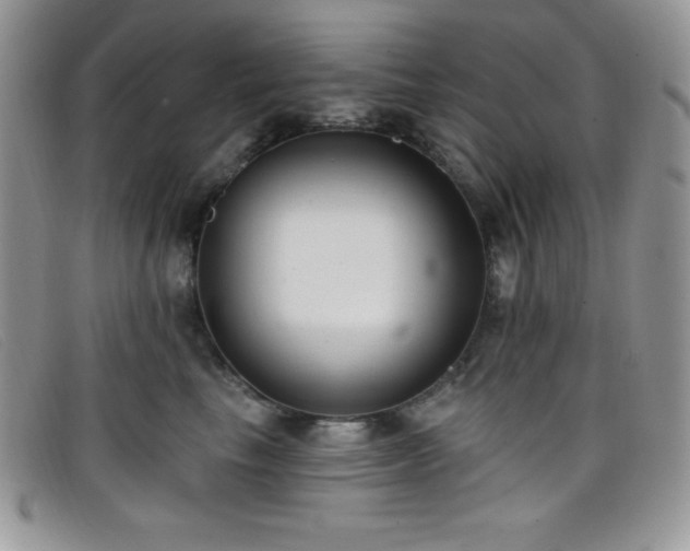 X0000099320665200805021314