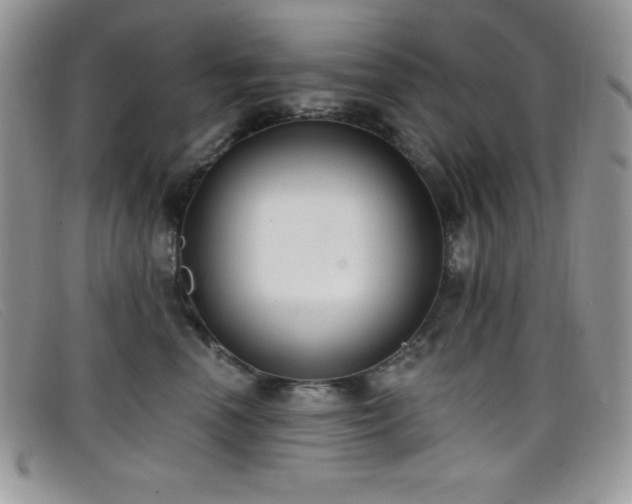X0000099320666200805021314