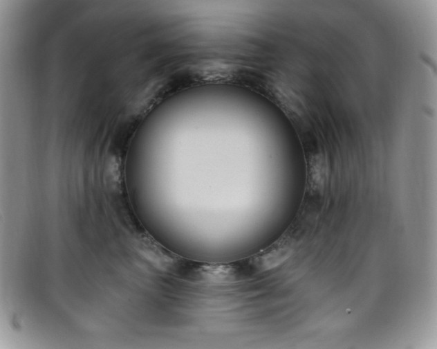X0000099320667200805021314