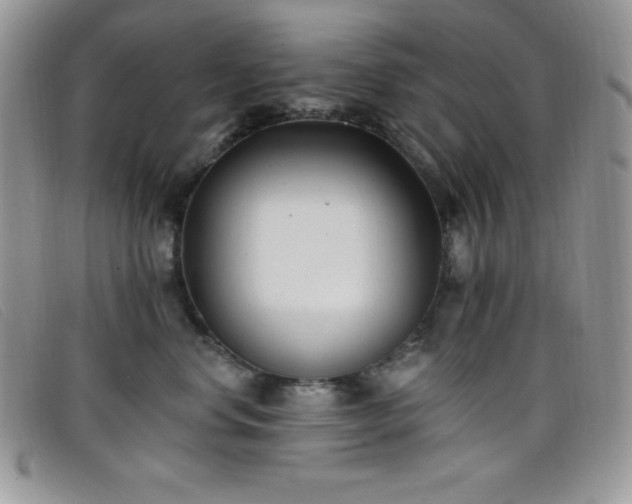 X0000099320668200805021314