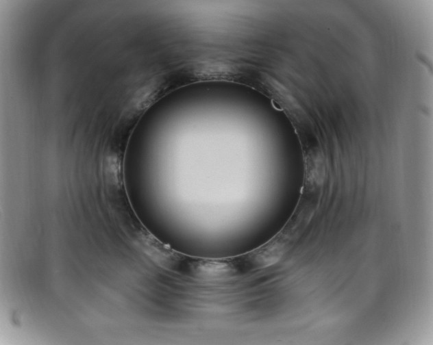X0000099320669200805021314