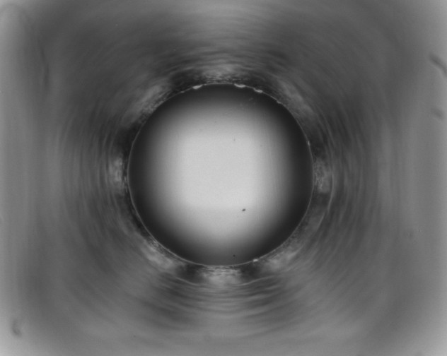 X0000099320670200805021314