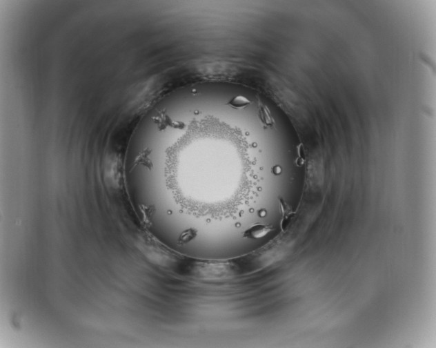 X0000099320671200805021314