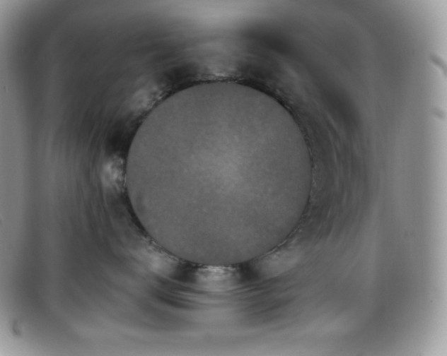 X0000099320672200805021315