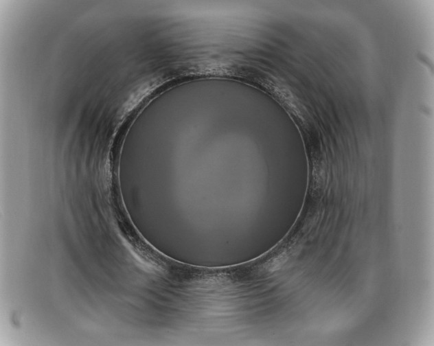 X0000099320674200805021314