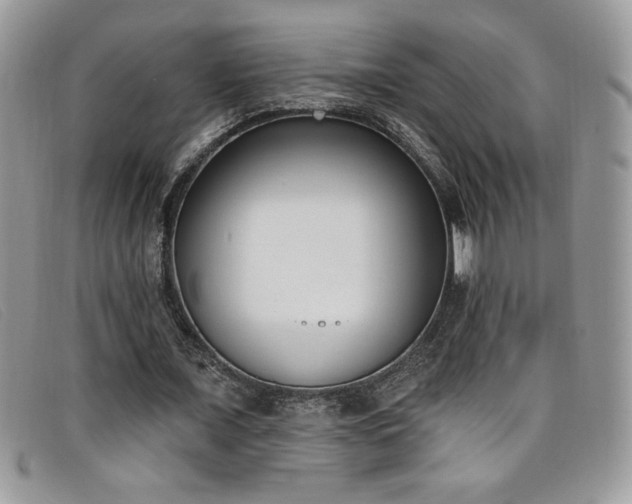X0000099320675200805021314