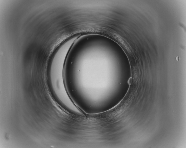 X0000099320677200805021314