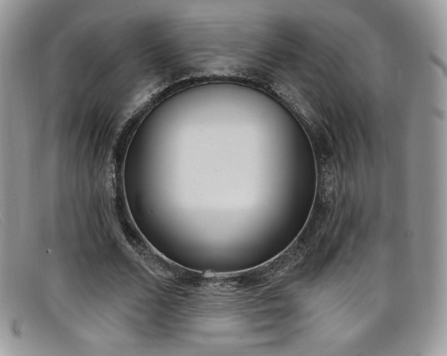 X0000099320680200805021314