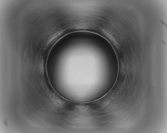 X0000099320681200805021314