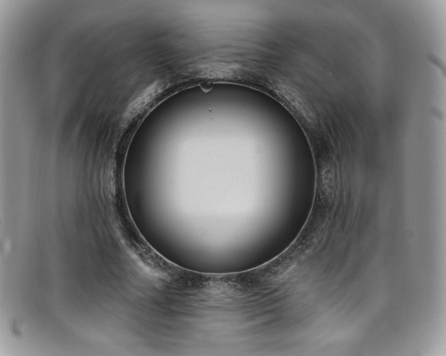 X0000099320682200805021314