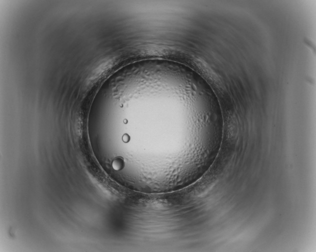 X0000099320683200805021314