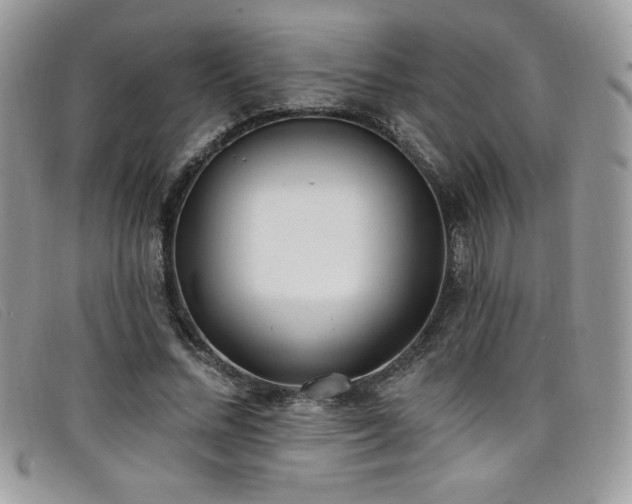 X0000099320684200805021314