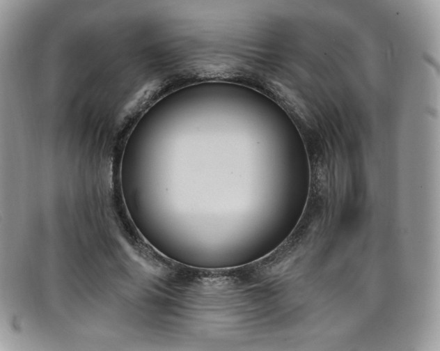 X0000099320686200805021314
