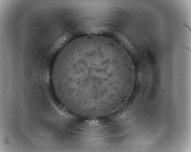 X0000099320687200805021314