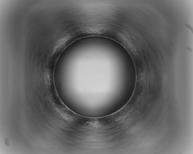 X0000099320688200805021314