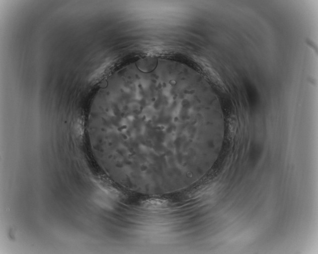 X0000099320691200805021314