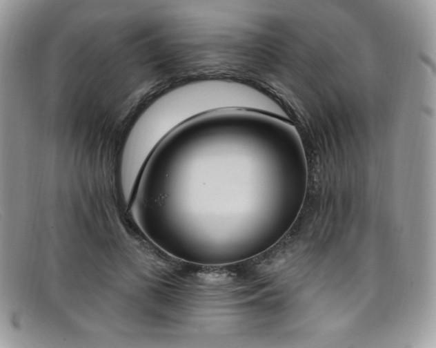 X0000099320693200805021314