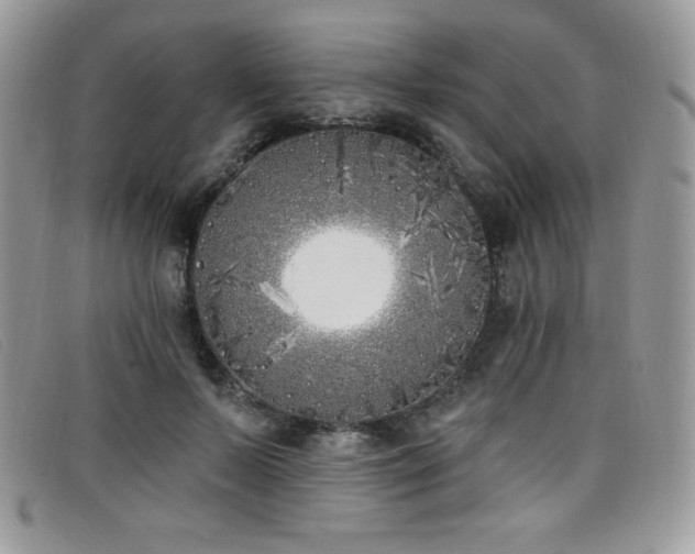 X0000099320695200805021314