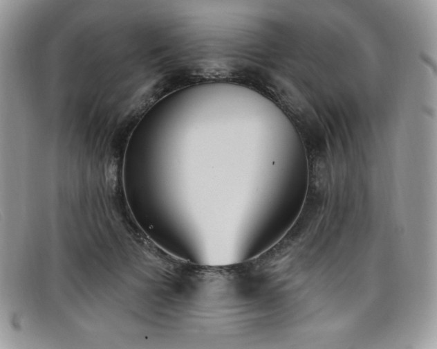 X0000099320697200805021314