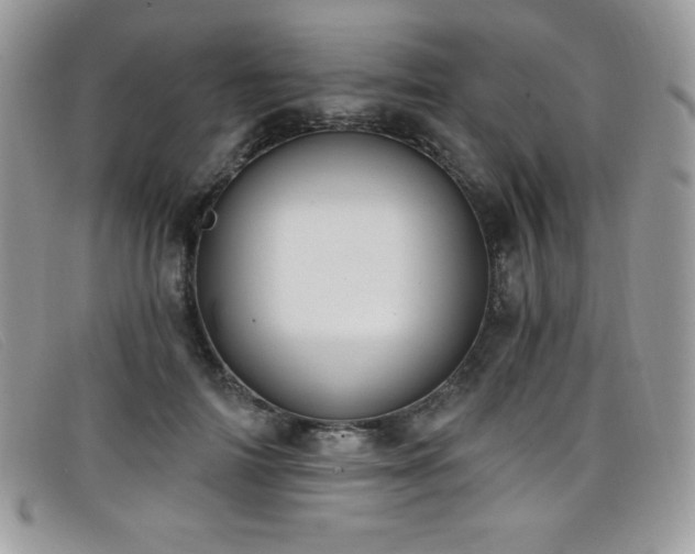 X0000099320698200805021314