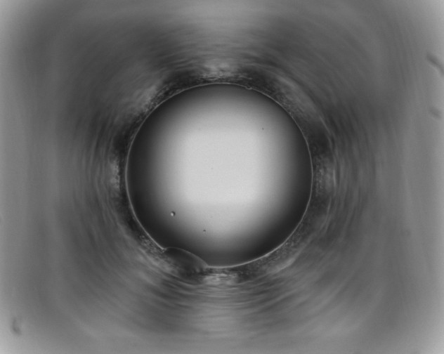 X0000099320700200805021313