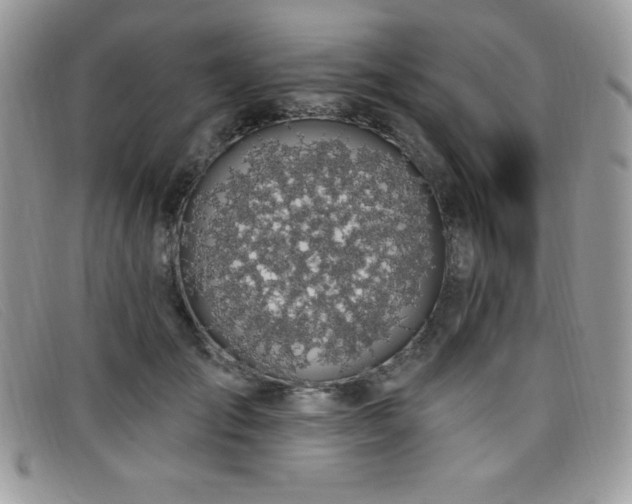 X0000099320701200805021313