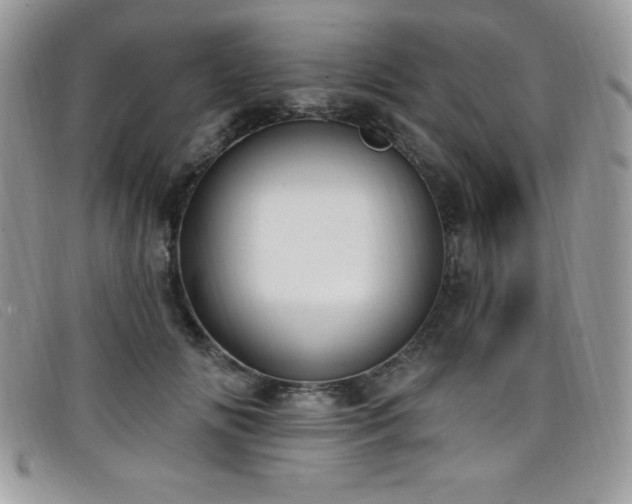 X0000099320702200805021313