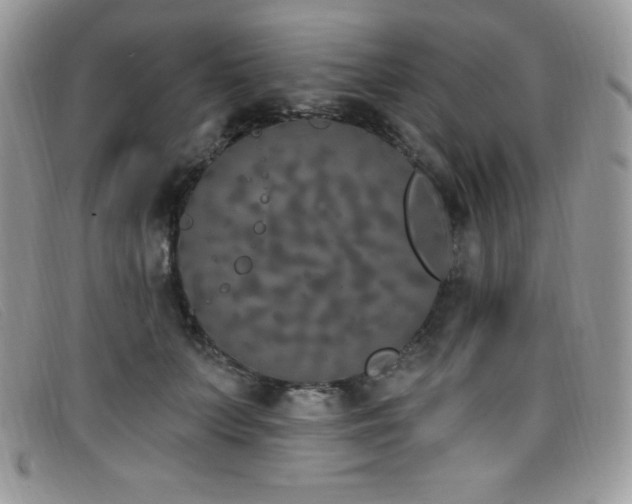 X0000099320703200805021313